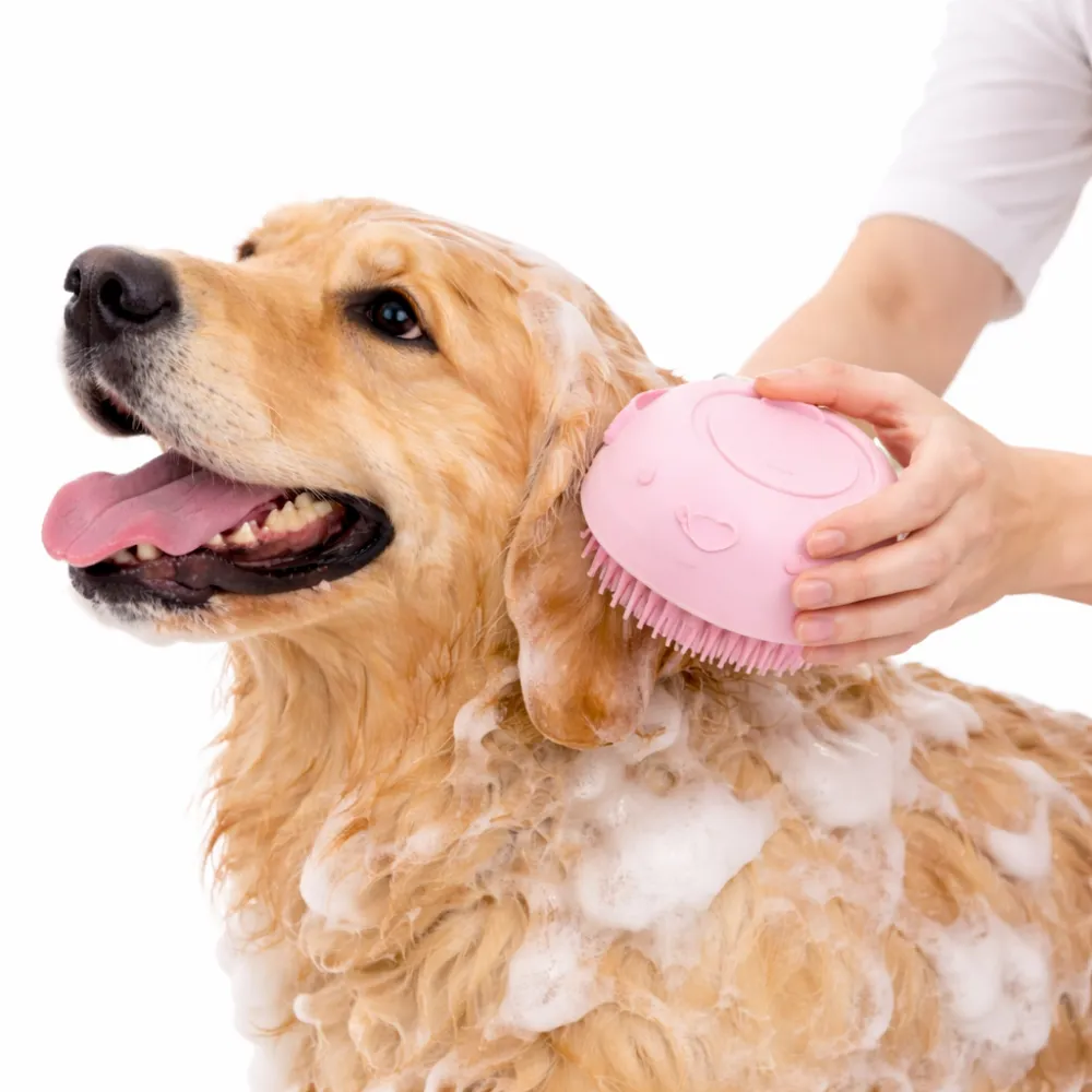 Golden-Retriever-Bathing-With-Pink-Silicone-Brush A happy Golden Retriever being washed with a pink soft silicone pet bath brush and soapy foam.