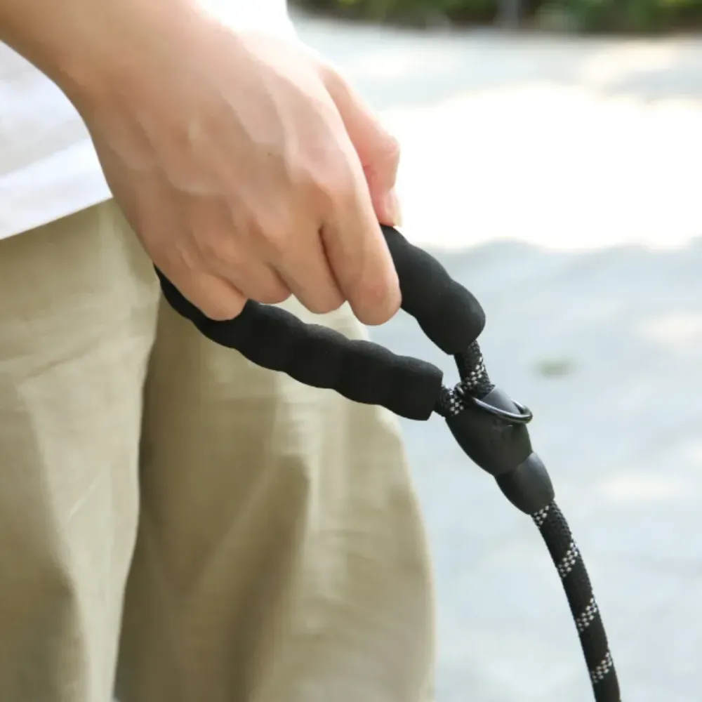 Close-up of a person's hand gripping the soft black foam handle of a dog leash.