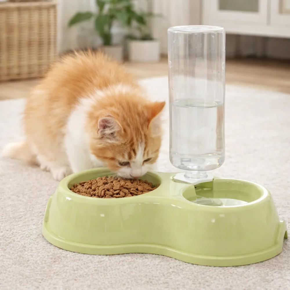 Close-up of a cat eating next to a clear gravity-refill water bottle attached to a green feeding base.