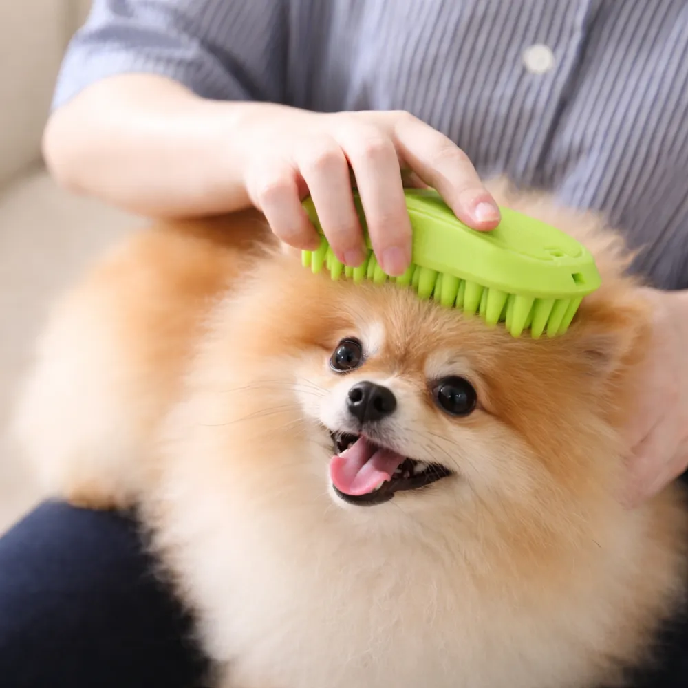 A happy Pomeranian dog being brushed with a green silicone grooming tool.