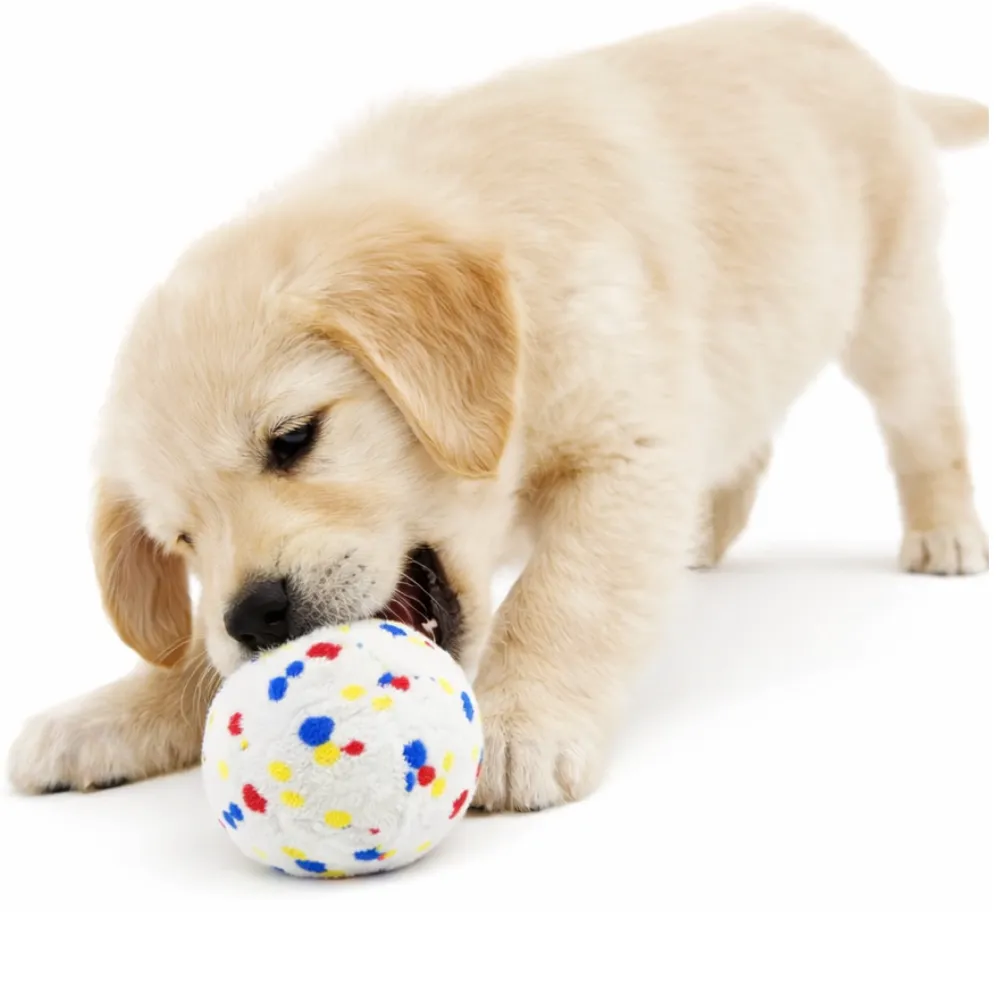 A Golden Retriever puppy lying down and chewing on a white textured dog ball with blue, red, and yellow spots.