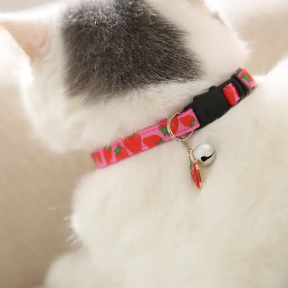 Close-up of a white cat from behind wearing a pink strawberry print collar with a silver bell and fruit charm.