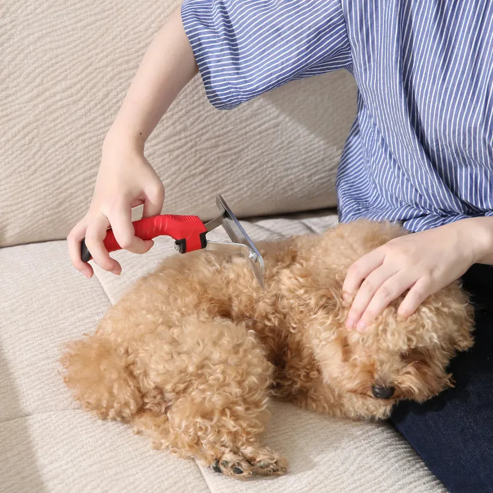 A person using the red pet rake to groom a small, curly-haired dog sitting comfortably on a sofa.