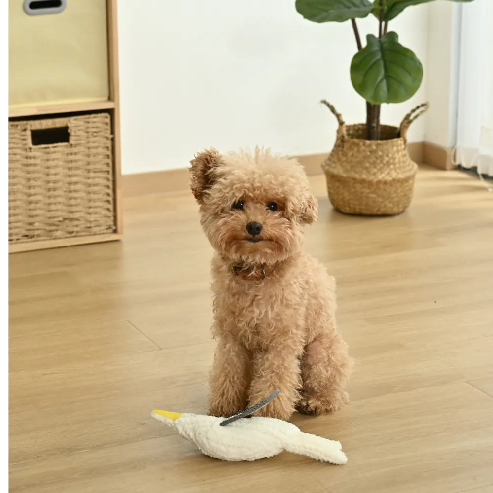 small dog playing plush squeaky toy indoor soft chew toy for puppies