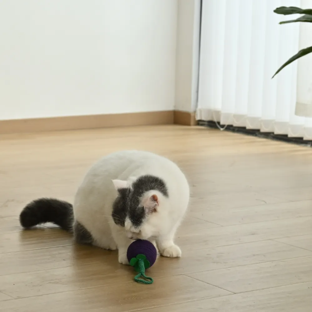 cat playing with rope ball toy indoor interactive cat toy for exercise