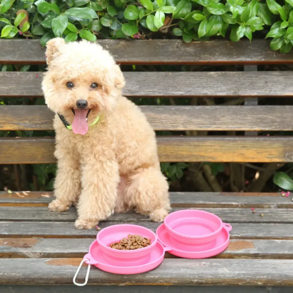 A small light-brown poodle sitting on a wooden park bench next to a set of pink double collapsible food and water bowls.