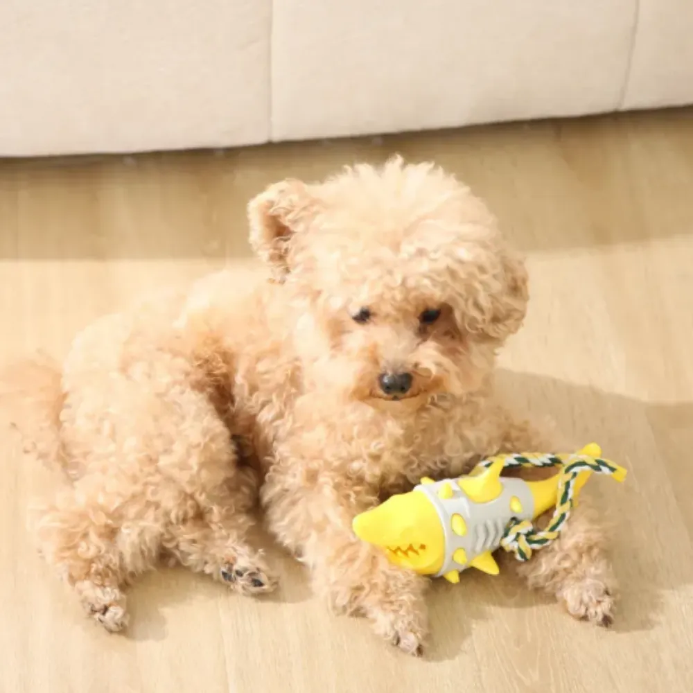 A small tan poodle resting on a wooden floor with the yellow shark teething toy.