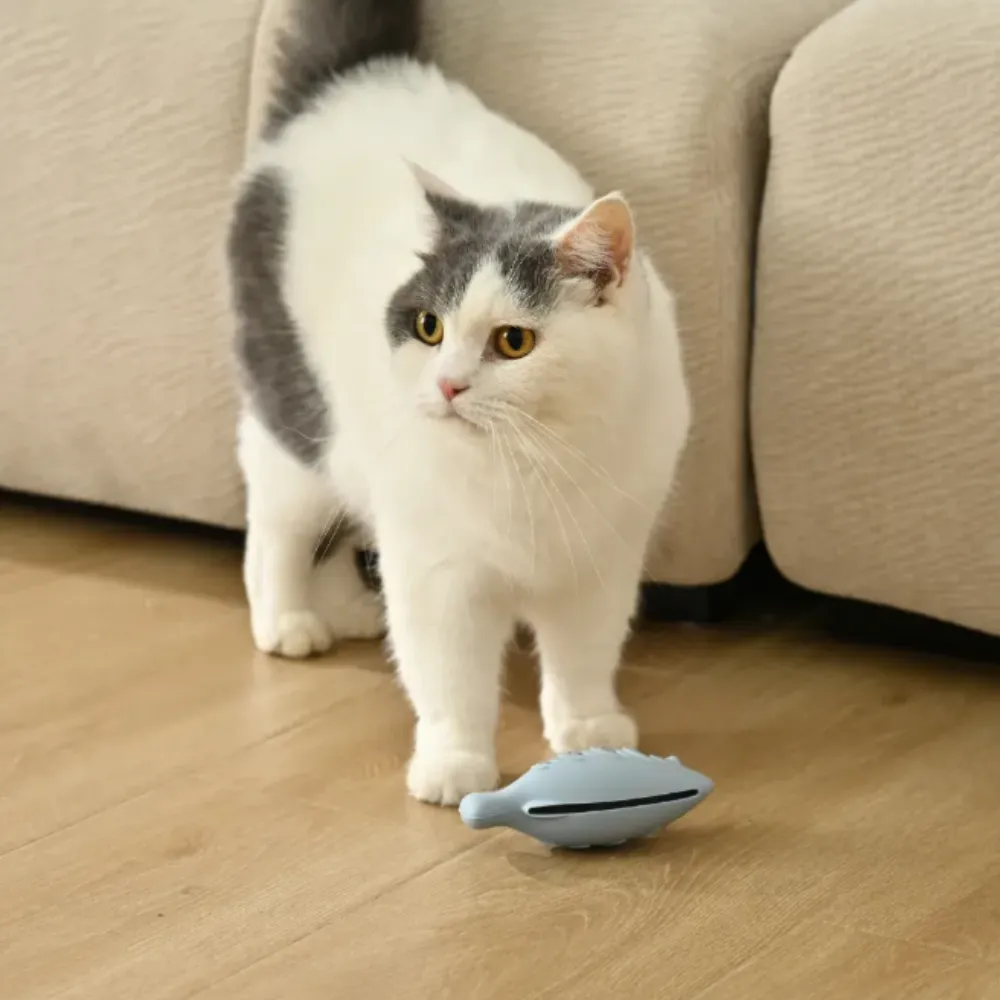 A white cat standing next to a blue fish-shaped toy showing the hollow side vent for catnip or treats.