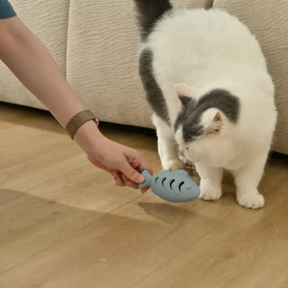 A person holding a blue fish toy while a white and grey cat sniffs it on a wooden floor.