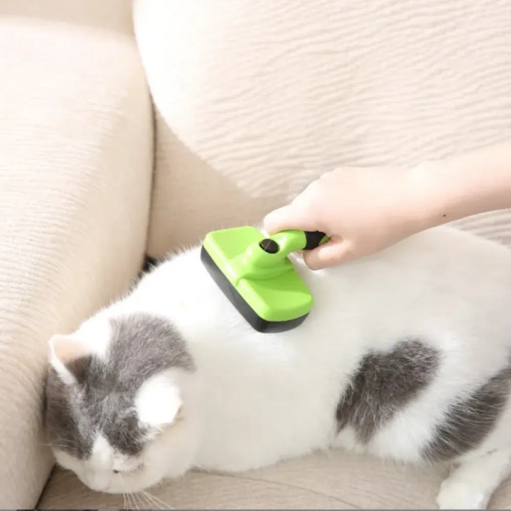 Hand using a green self-cleaning slicker brush on a white and grey shorthair cat.