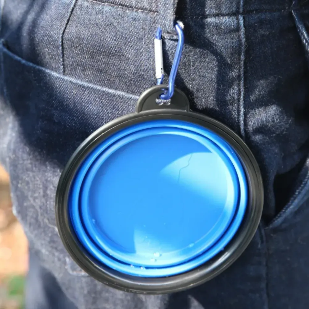 A blue collapsed silicone dog bowl clipped to a person's denim jeans using a blue metal carabiner.