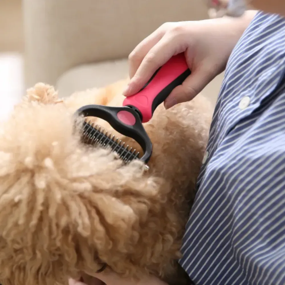 Close-up of a pink pet grooming comb removing tangles from a goldendoodle's curly tan fur.