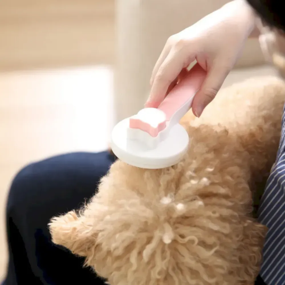 A person using a pink self-cleaning slicker brush on a curly-haired dog to remove loose fur.