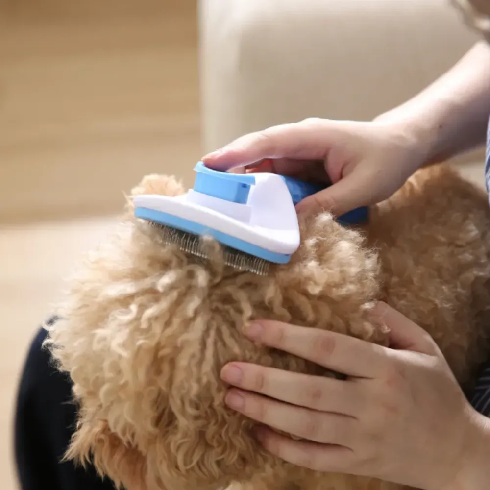 Close-up of a blue and white pet grooming brush effectively lifting matted hair from a poodle-mix coat.