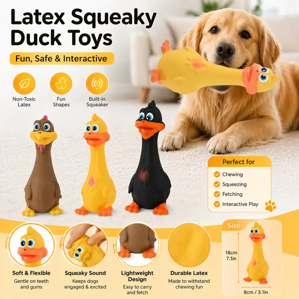 A detailed marketing infographic showcasing a Golden Retriever with a duck toy, highlighting features like non-toxic latex, built-in squeaker, and durable design.