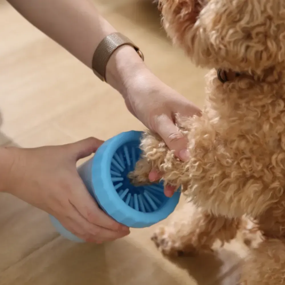 A person is sitting on the floor, holding a light blue dog paw cleaner cup, and is about to guide a small, curly-haired, apricot-colored poodle's paw into the device.