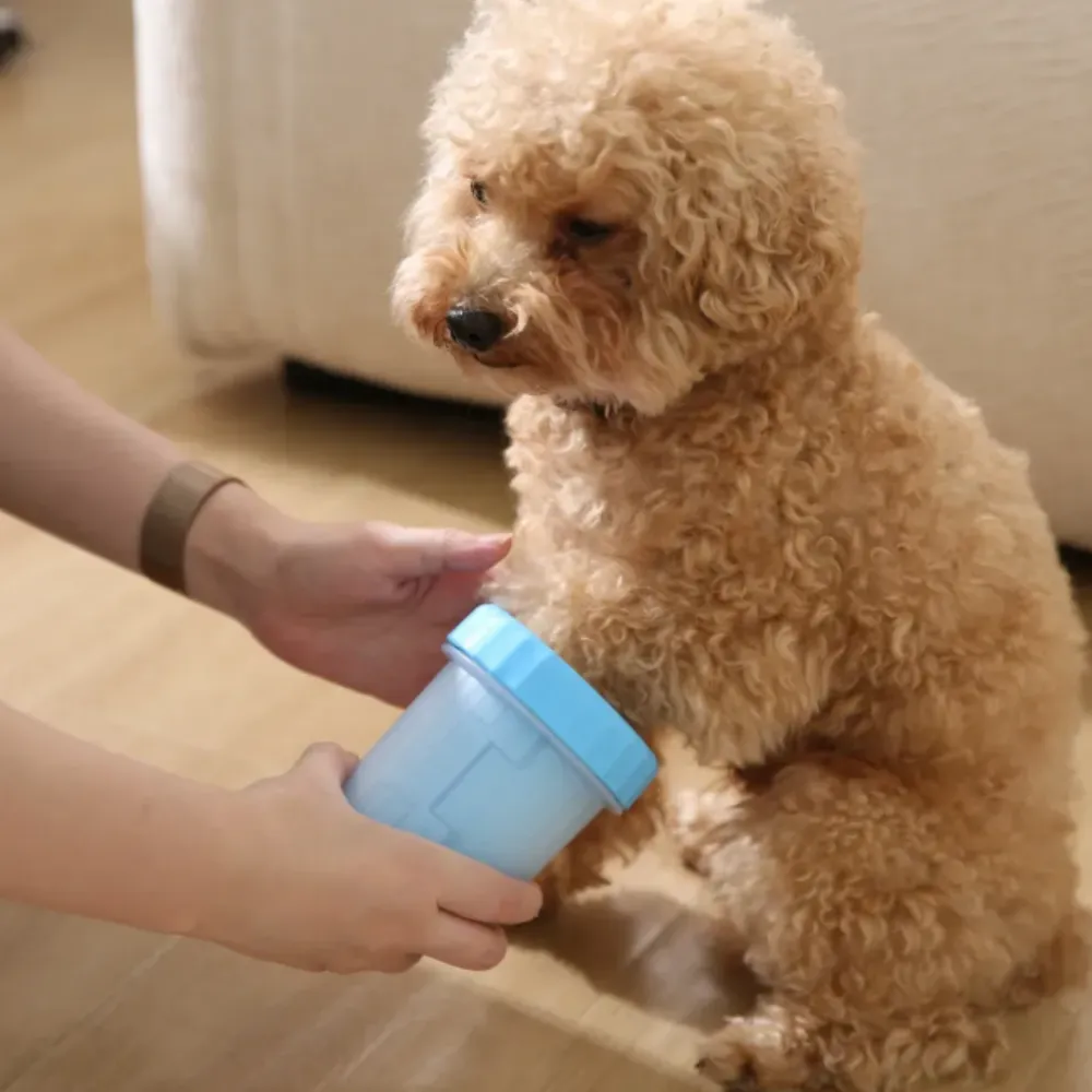 A detailed, close-up photograph looking down into the open, light-blue pet paw cleaner. It shows a small, fluffy poodle's paw fully submerged inside, with the internal blue silicone bristles visible surrounding the paw. The person's hand is guiding the pa