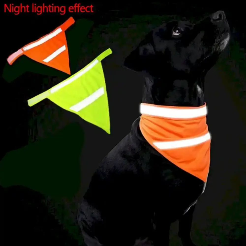 A black dog wearing an orange bandana with glowing reflective strips at night, demonstrating low-light visibility.