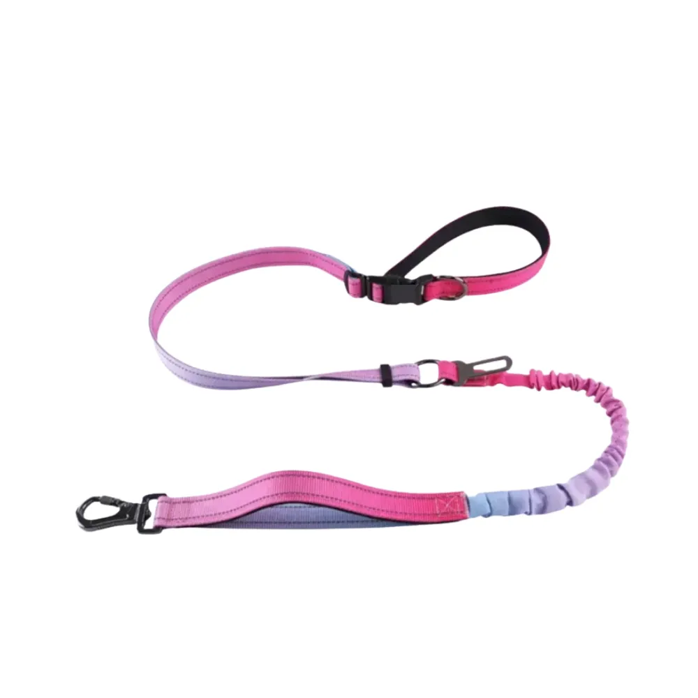 Professional product image of the Pink Purple gradient dog leash with shock-absorbing bungee and padded handle.