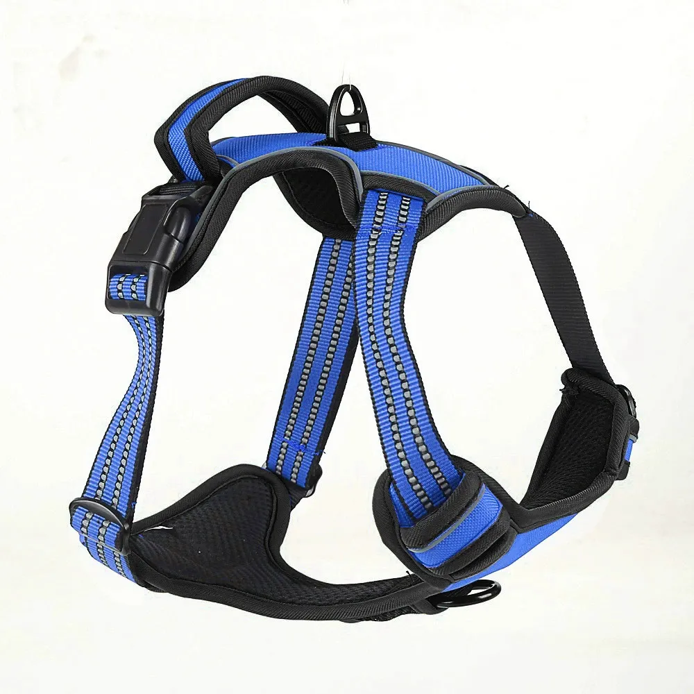A professional product shot of a blue adjustable dog harness with 3M reflective stitching.