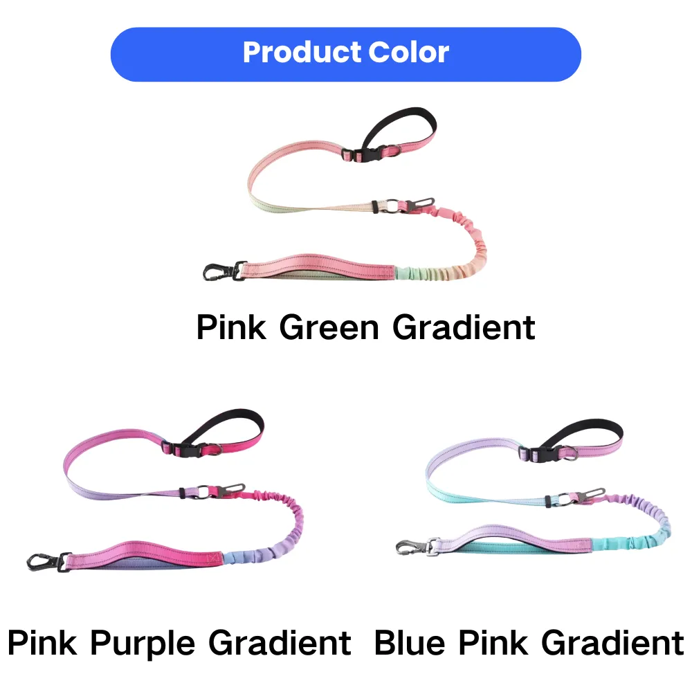Three gradient color options for the dog leash: Pink Green, Pink Purple, and Blue Pink.