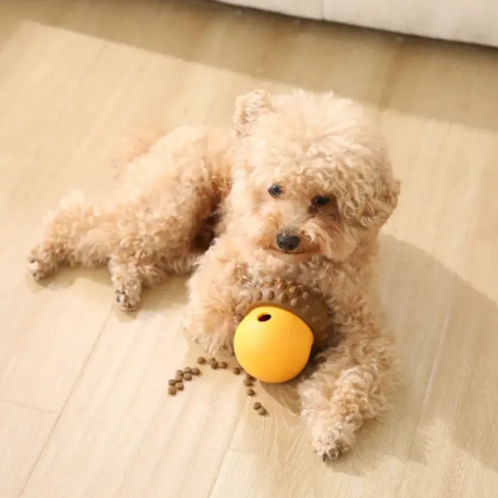 Top view of a toy poodle interacting with a yellow silicone treat toy, highlighting the soft and flexible material.
