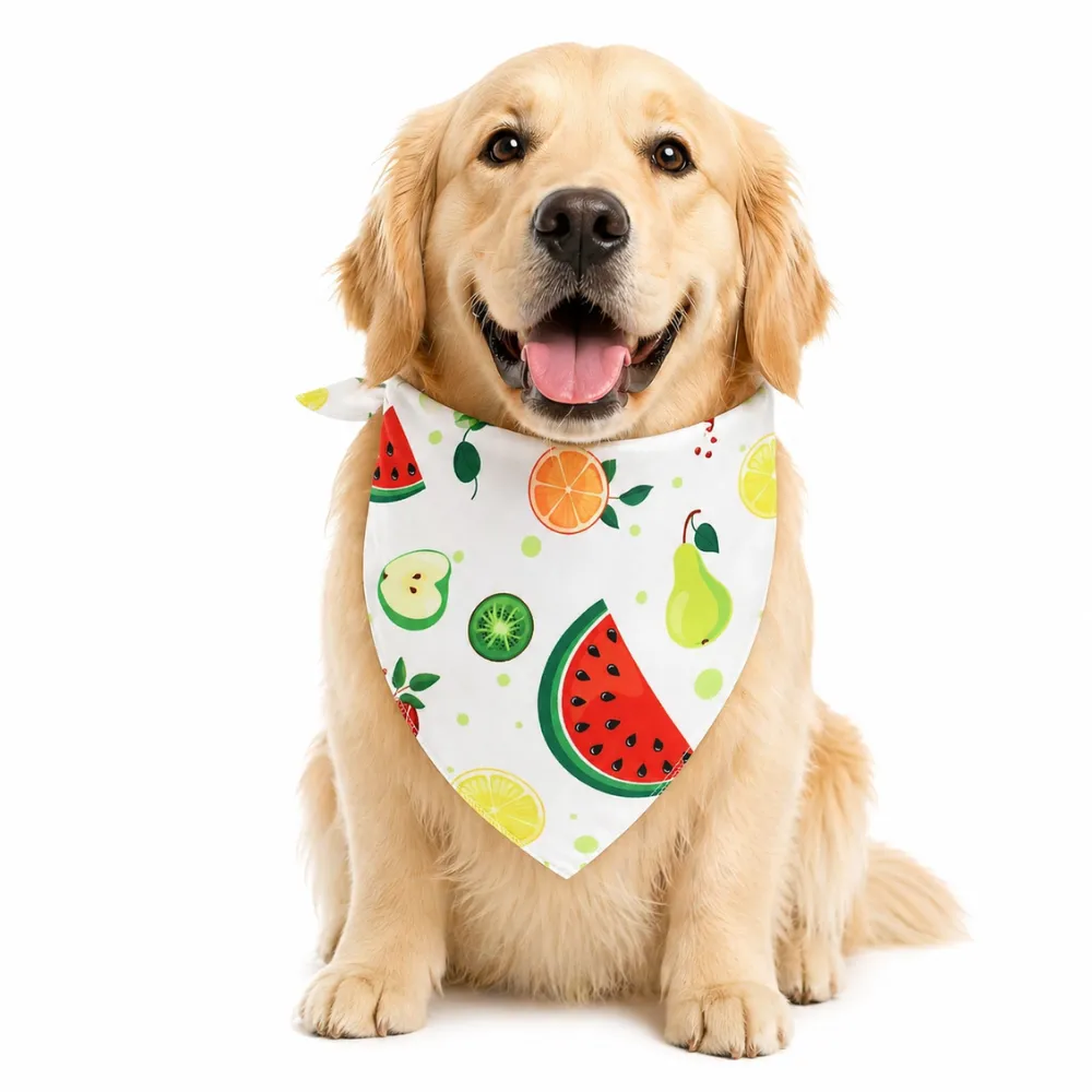 golden-retriever-wearing-fruit-pattern-dog-bandana A happy Golden Retriever sitting and wearing a white dog bandana featuring a colorful watermelon and citrus fruit print.