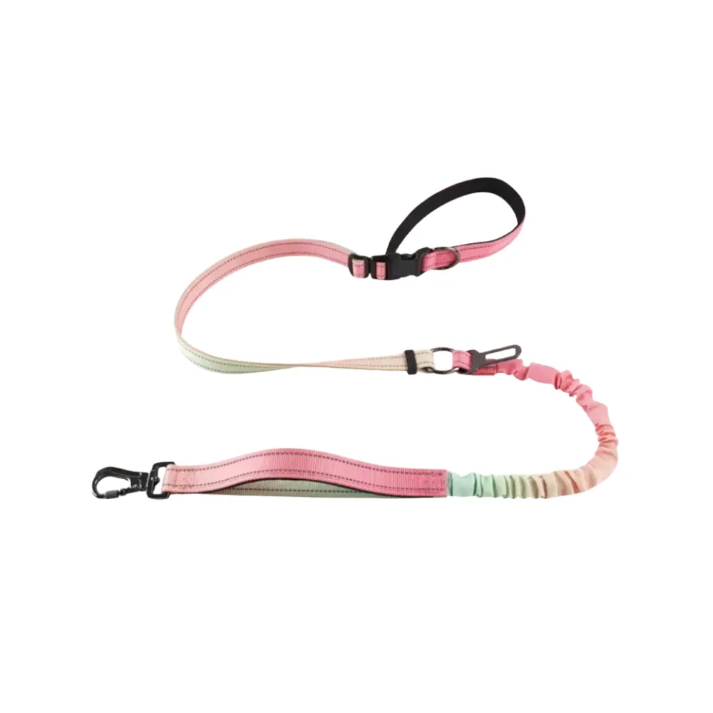 Studio product shot of the Pink Green gradient multi-functional dog leash with a car safety buckle.