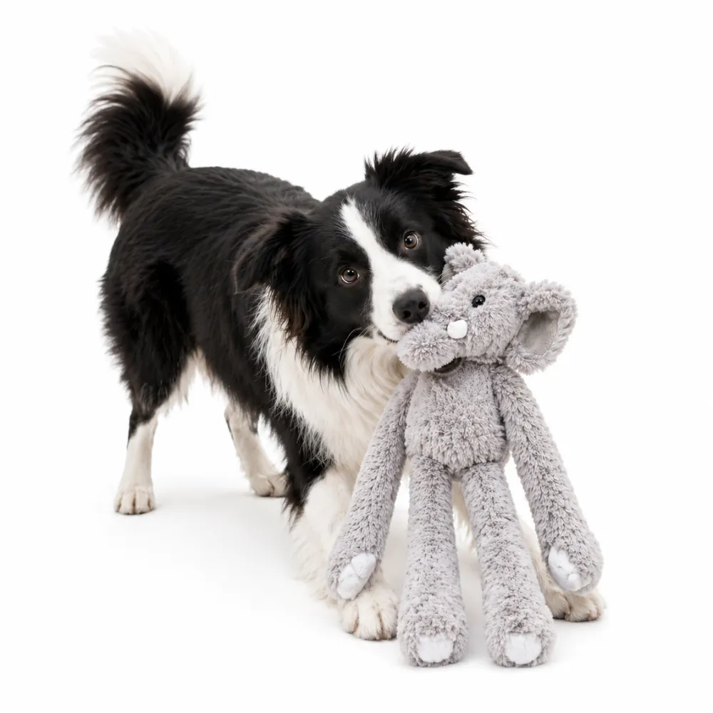 A black and white Border Collie playfully biting a long-arm plush elephant dog toy.