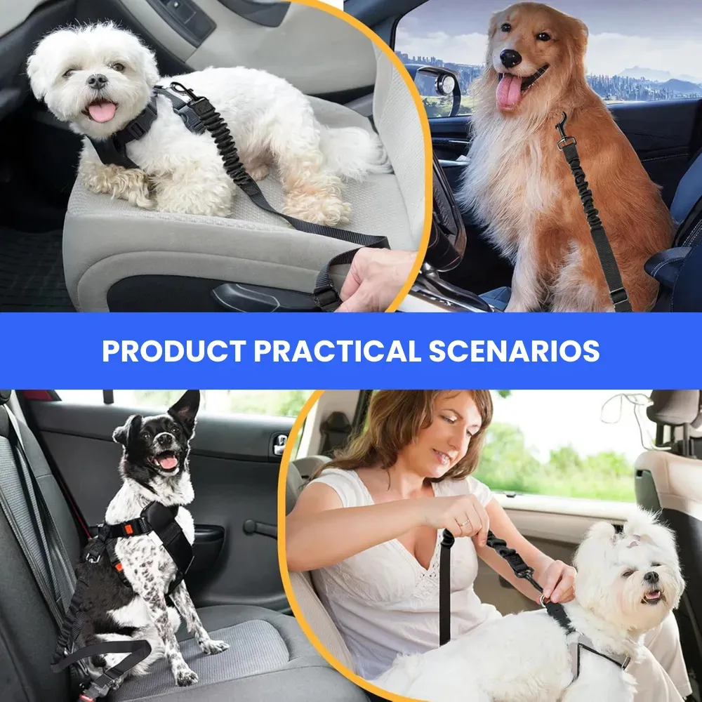 A four-panel photo grid titled "Product Practical Scenarios," showing a Maltese on a grey seat, a Golden Retriever in a moving car, a spotted dog with a headrest tether, and a woman securing a Maltese. Each dog is correctly secured using the adjustable pe