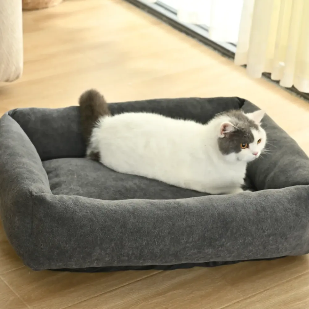 cat resting on black comfortable pet sofa bed indoor washable cushion bed