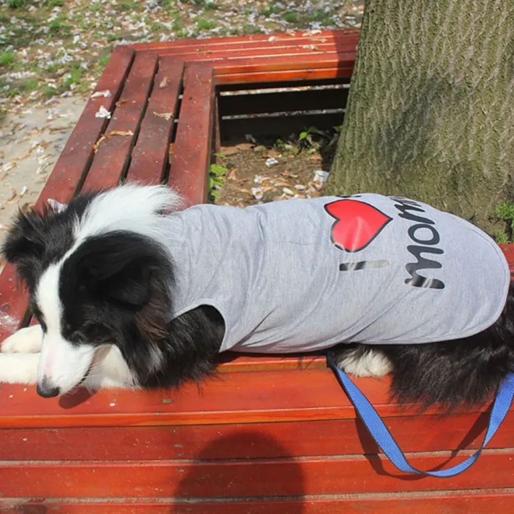 A Border Collie lying on a wooden park bench wearing a grey "I Love My Mommy" sleeveless dog shirt.