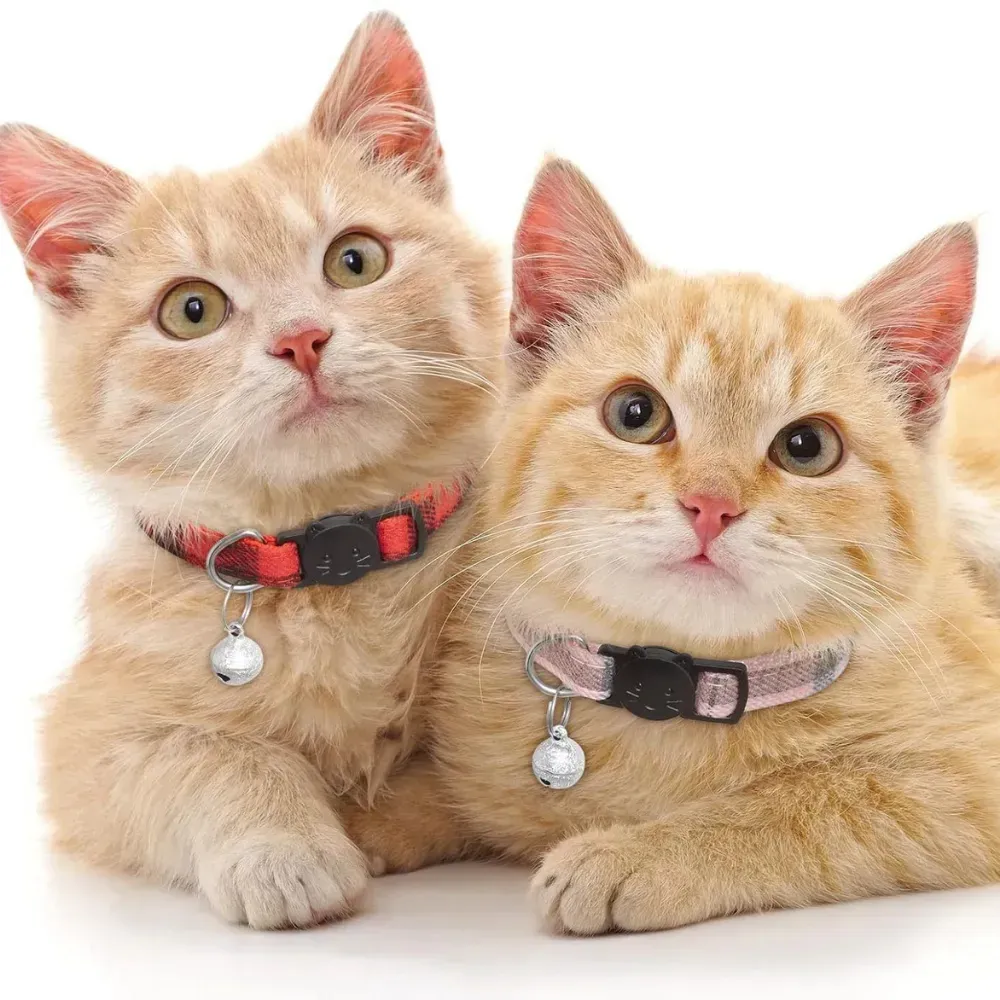 Two ginger kittens lying together wearing red and pink plaid breakaway collars with bells.