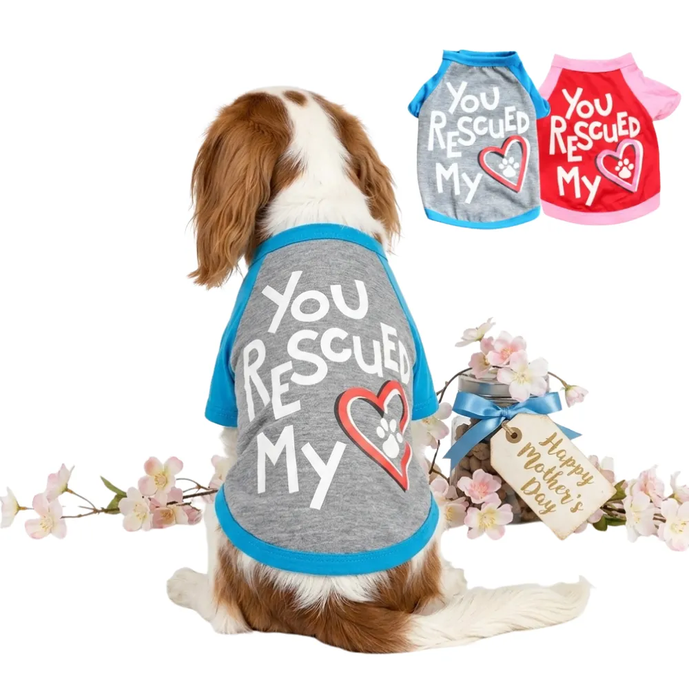 You Rescued My Heart Dog Shirt Grey Spaniel dog wearing grey and blue rescue dog t-shirt sitting next to Mother's Day gift jar
