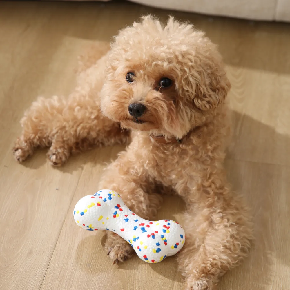 A small brown poodle lying on a wooden floor playing with the colorful white speckled ETPU bone toy.