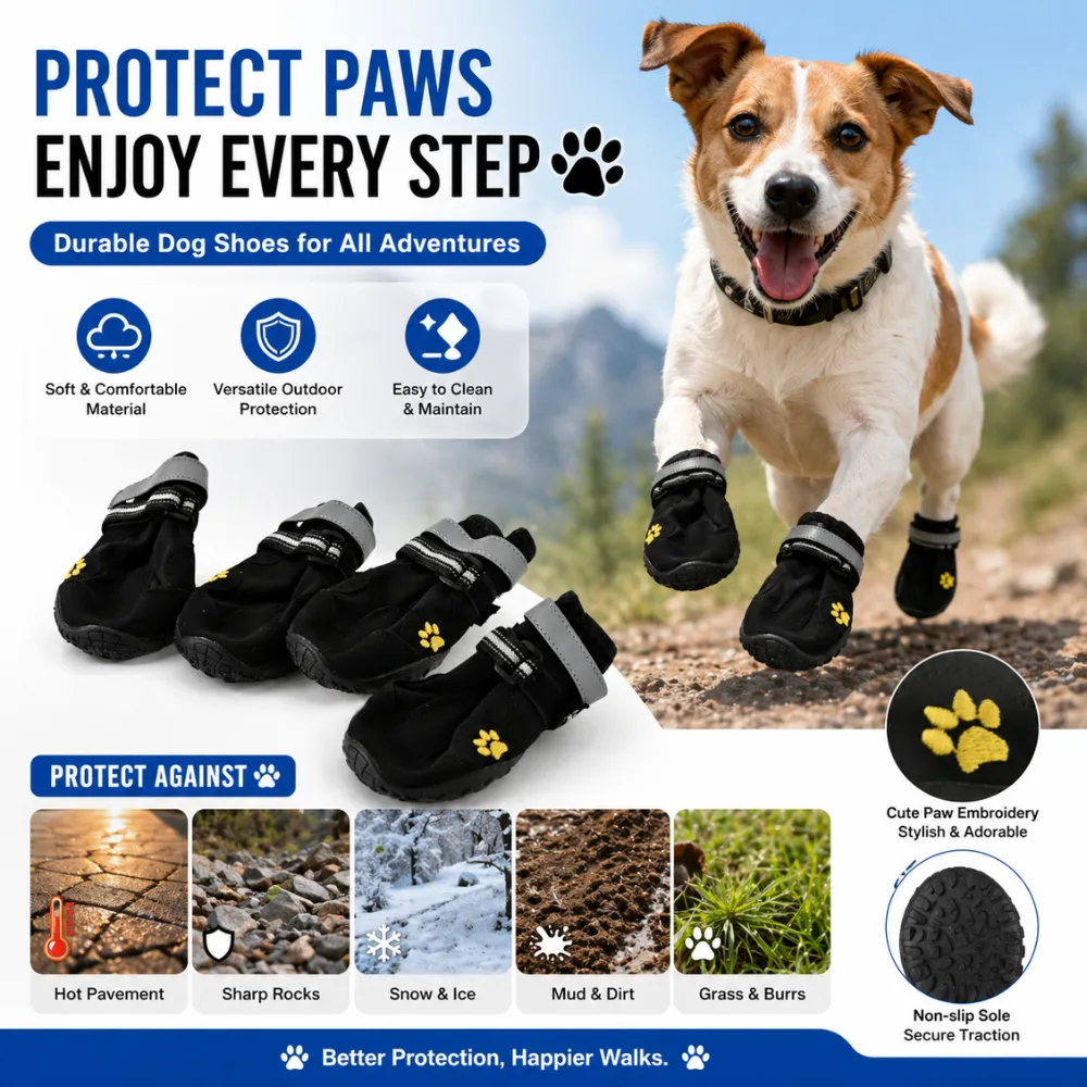 Infographic showing dog boots protecting against hot pavement, sharp rocks, snow, mud, and grass.