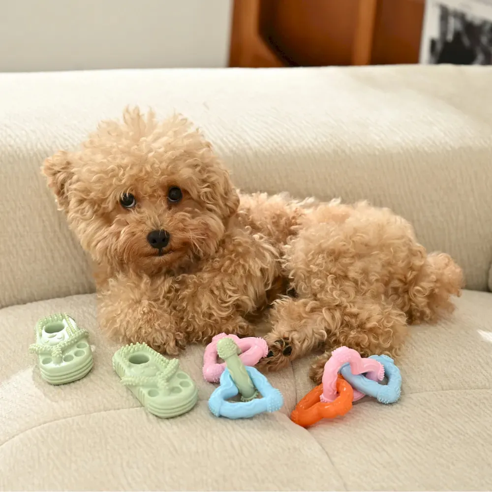 A small curly-haired dog lying on a sofa next to several colorful TPR slipper and ring toys.