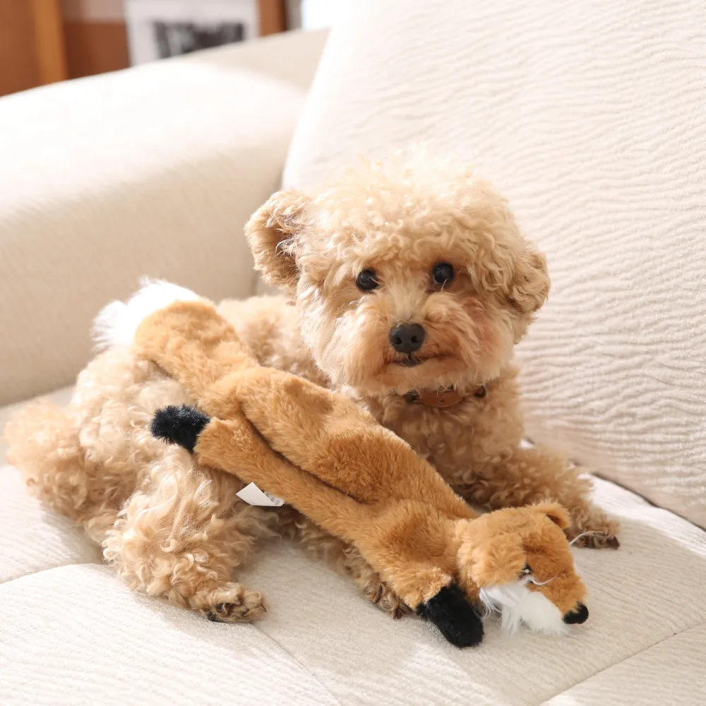 A small curly-haired dog sitting on a sofa with a stuffing-free plush fox squeaky toy.
