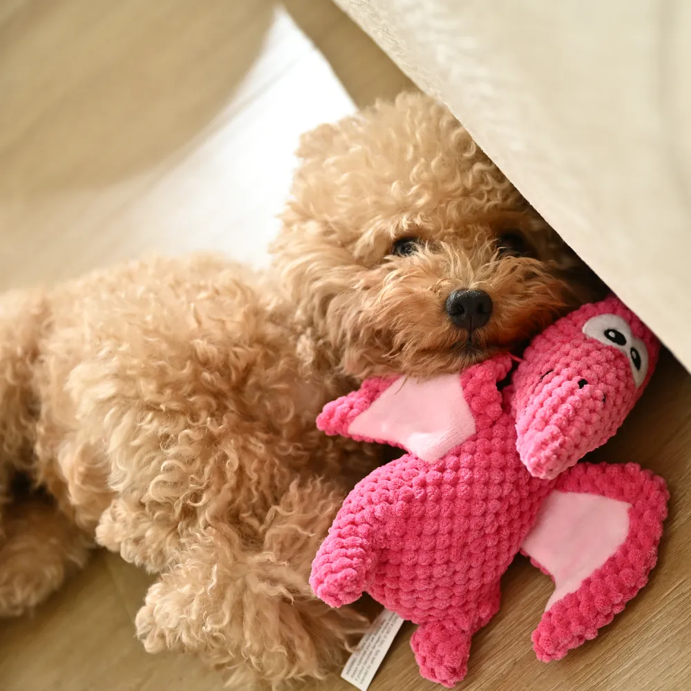 A small curly-haired dog cuddling with a pink pterosaur plush toy on a wooden floor.