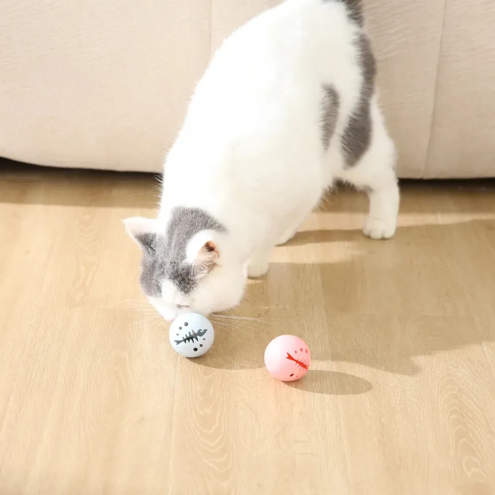 A domestic cat engaging with the pink and grey interactive balls on a wooden floor.