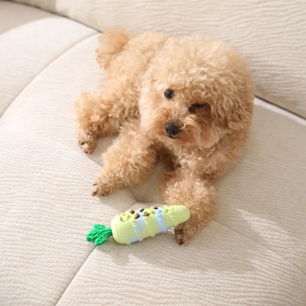 A small curly-haired dog playing with a green carrot puzzle toy on a light-colored sofa.