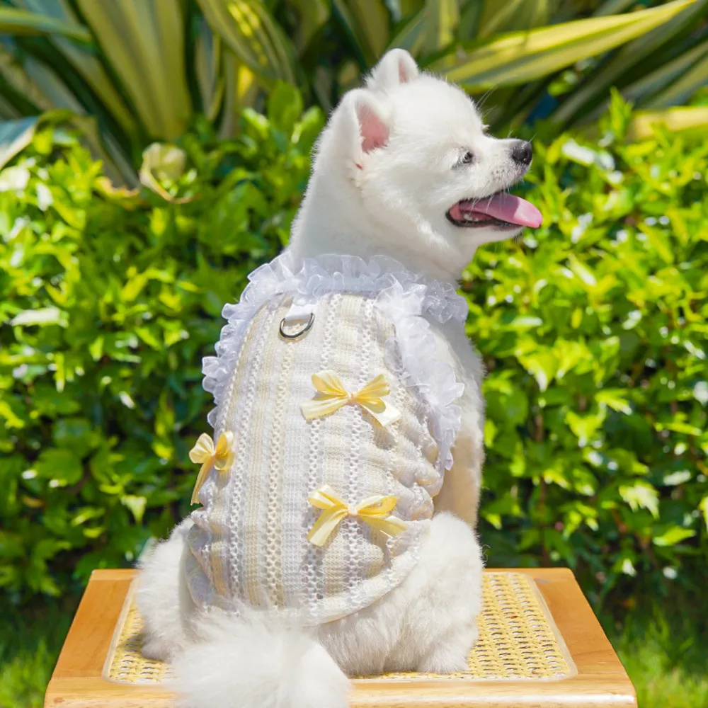 Yellow Lace Dog Vest Outdoor Puppy Wear Small white puppy wearing a yellow lace ruffle vest outdoors in sunny garden