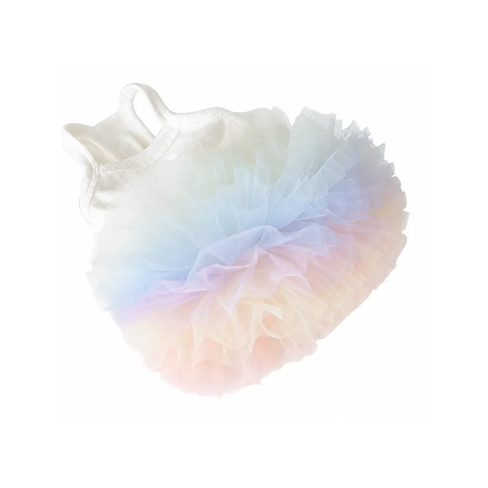 Colorful rainbow ballet tutu pet dress for small breed dogs isolated on white background