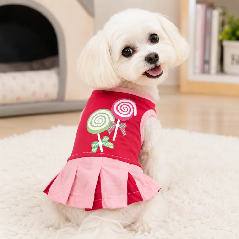 White small dog wearing Red lollipop print dog dress indoors