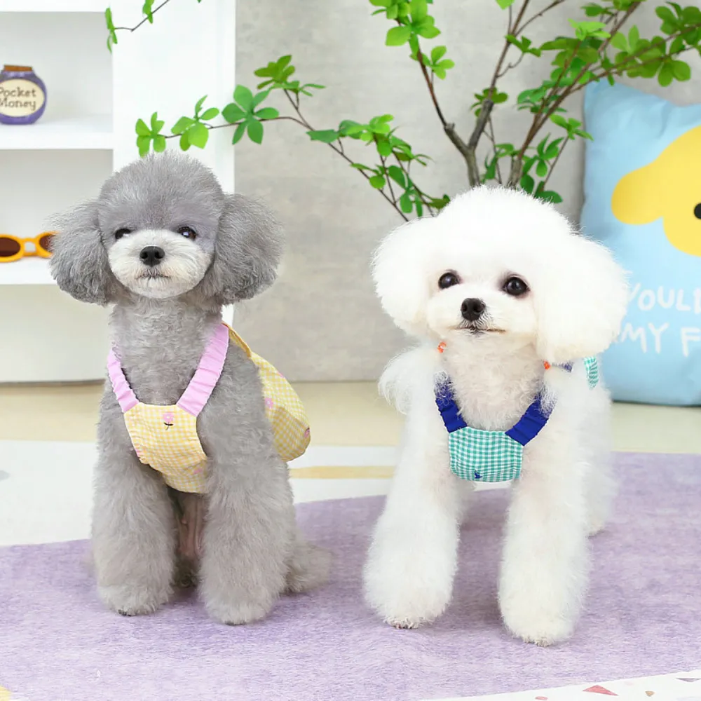 Small dogs wearing cute gingham suspender dresses in yellow and green colors for spring and summer