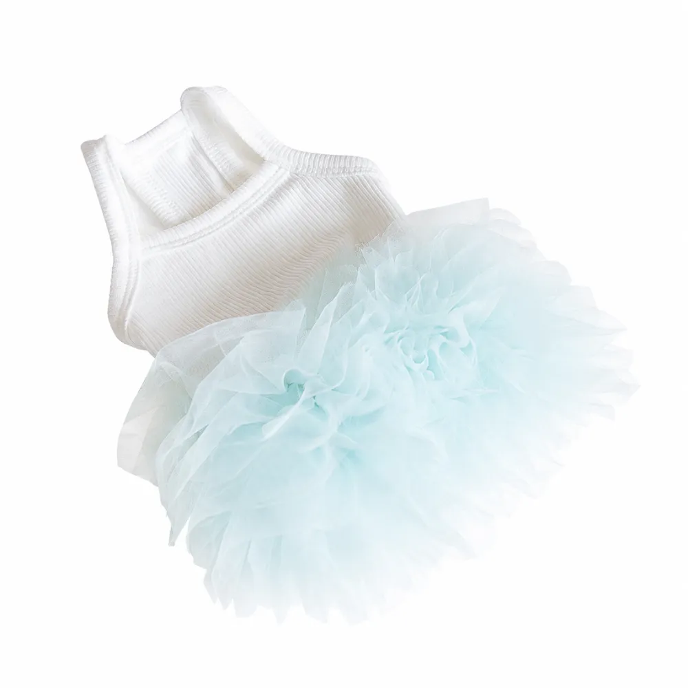 Blue layered tulle ballet tutu dog dress for small dogs isolated on white background