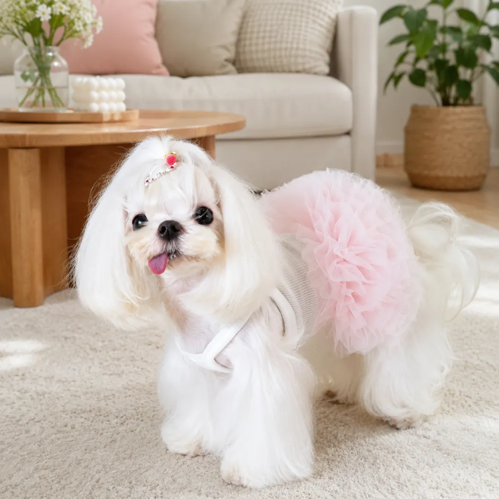 Small white dog wearing a pink tutu pet dress in a cozy living room setting