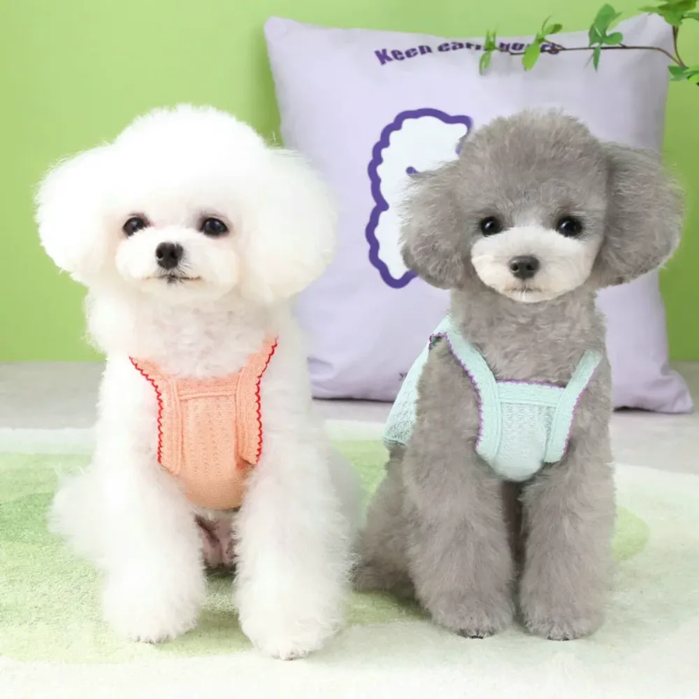 Front view of a white poodle and a gray poodle sitting comfortably in lightweight summer tank tops.