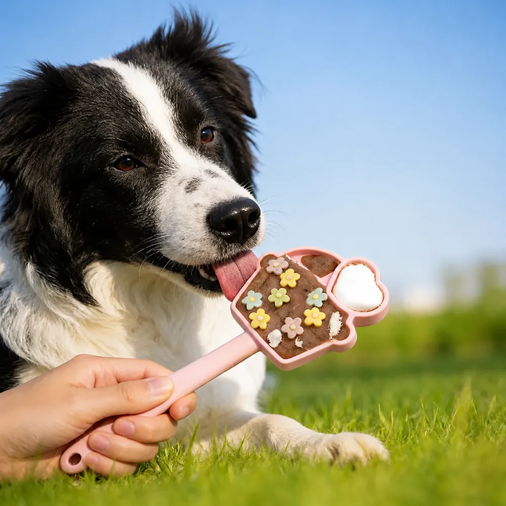 Border collie dog licking frozen treats from silicone licking stick toy outdoors on grass