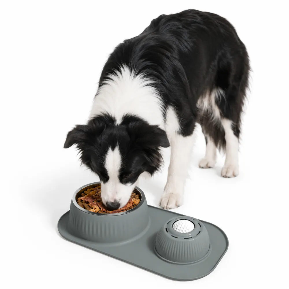 Anti-Slip Dog Slow Feeder Bowl with Licking Ball for Large Dogs Border Collie using anti-slip slow feeder dog bowl with stainless steel food bowl and licking ball mat
